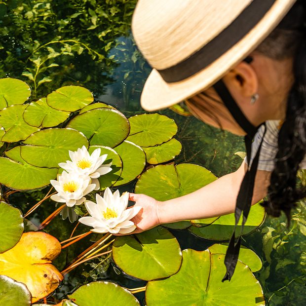 seerosen-frau-sonne-wasser