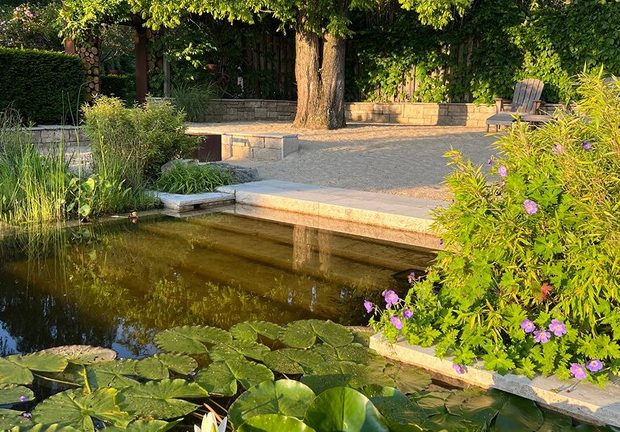 p4n-photo-award-2025-sieger-schwimmteich