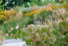 Gartengestaltung mit Pflanzen