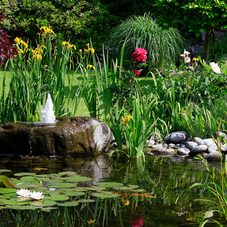 schwimmteich-ausstattung-quellstein