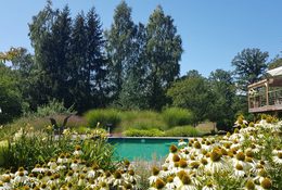 Gartengestaltung mit Pflanzen