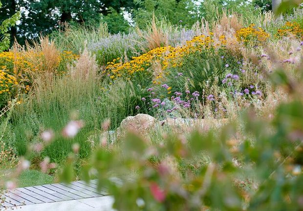 photo-award-2023-garten-silber