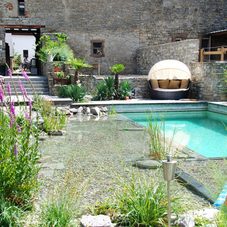 naturpool-ausstattung-flachwasserzone