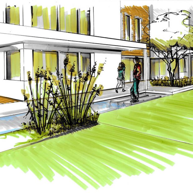 natur-gartenplanung-pflanzen-rasen