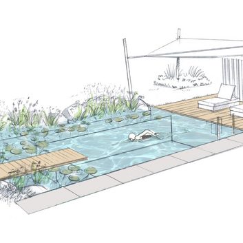 voranalyse-auswertung-technische-grafik-schwimmteich