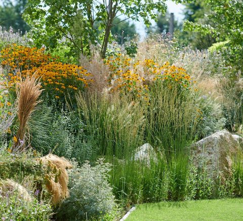 gartengestaltung-pflanzen-straeucher-gras