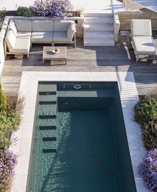 p4n-biominipool-zebra-steinumrandung-pflanzen