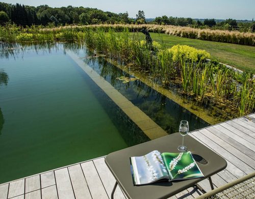 naturpool-mit-pflanzen-holzterrasse-magazin