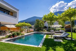 Hecke, Solitärbäume