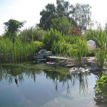p4n-schwimmteich-wasser-springen-spass-stein