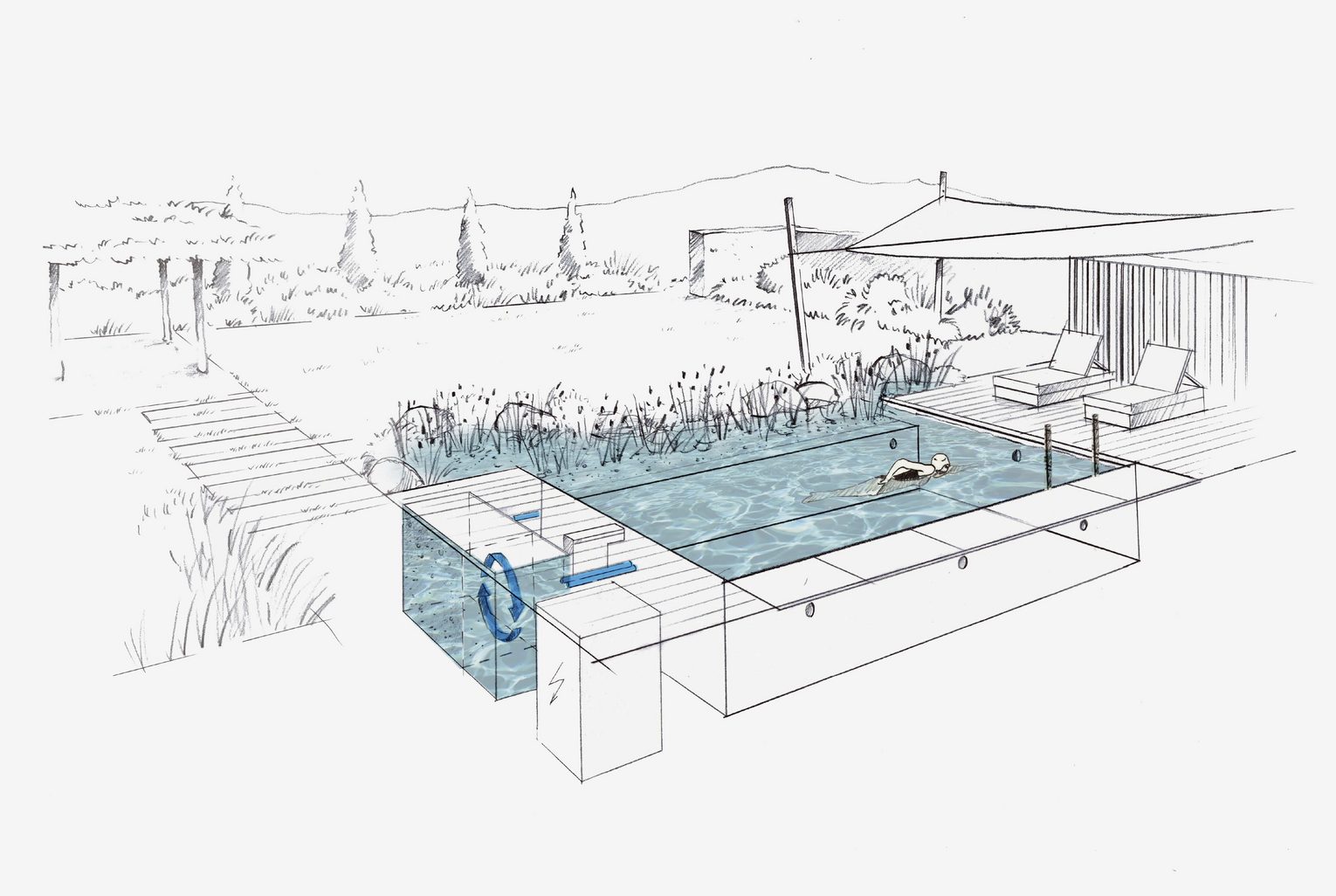 naturpool-technische-zeichnung