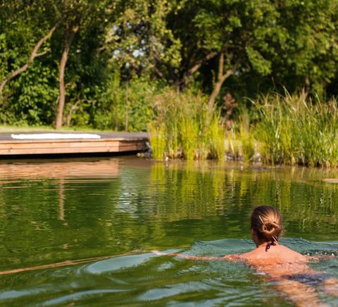 schwimmteich-schwimmen-holzsteg-pflanzen