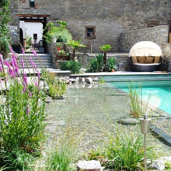 p4n-naturpool-schwimmen-wasser