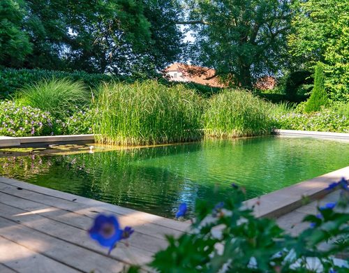 naturpool-mit-pflanzen-holzumrandung-straeucher