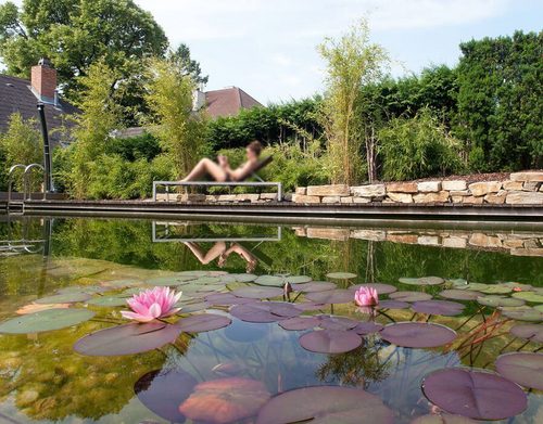 schwimmteich-pflanzen-steinmauer-seerosen-liegestuhl