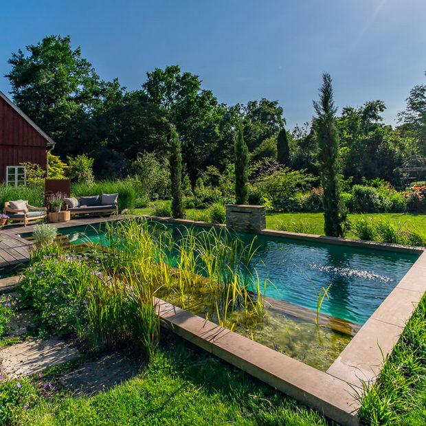 Naturpool im eigenen Garten Pool for Nature